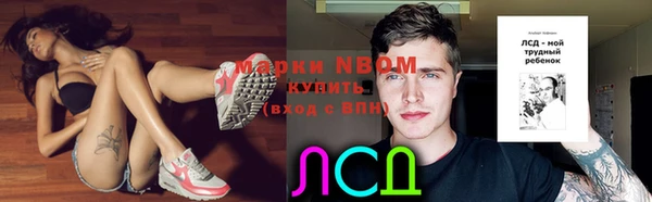 прущие грибы Балабаново