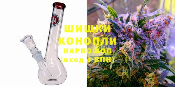 прущие грибы Балабаново