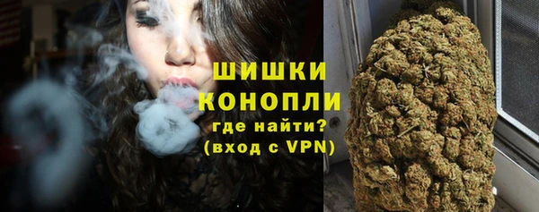 прущие грибы Балабаново
