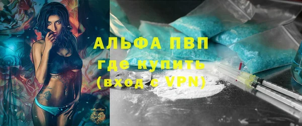 прущие грибы Балабаново