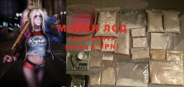 прущие грибы Балабаново